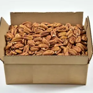 Blanched Pecan Nuts by JBK Manufacturing & Development Company