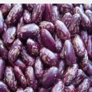 Beans by C&M INTERNATIONAL LLC