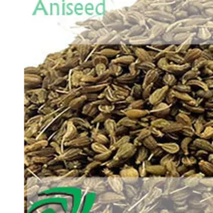 Egyptian Anise Seeds by Green Herbs and Spices