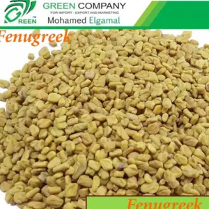 Egyptian Fenugreek Seeds by Green Herbs and Spices