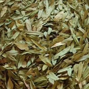 Senna Leaves by Green Herbs and Spices