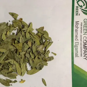 Senna Leaves - Image 2
