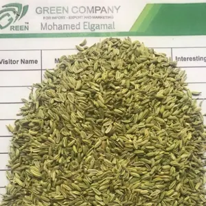 Fennel From Egypt by Green Herbs and Spices