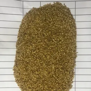 Golden SesamSeed alcamel - Image 2
