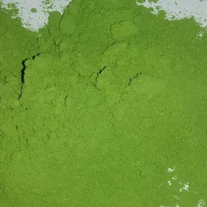 Drumstick powder by SVM EXPORTS