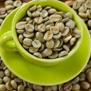 Green Coffee by BD Export