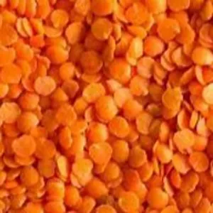 red football lentils by Canadian International Commerce And Trading Company