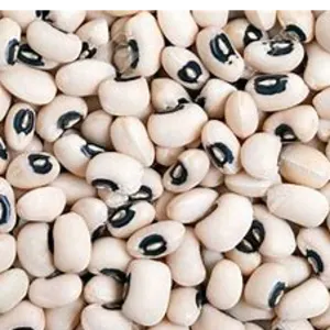 black eyed beans by Canadian International Commerce And Trading Company