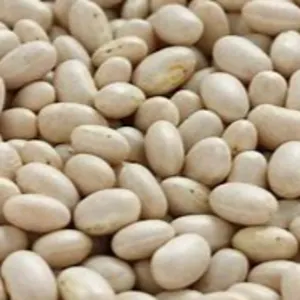 navy beans by Canadian International Commerce And Trading Company