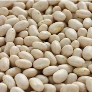 soybeans by Canadian International Commerce And Trading Company