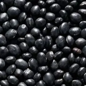 black beans