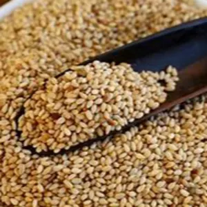 Little millet