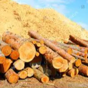 Logs & Saw Dust by Soxa Multiservice Resource Ltd