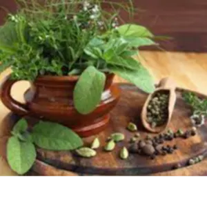 MIDLAND by Midland Tea Nuts and Coffee Packers Ltd