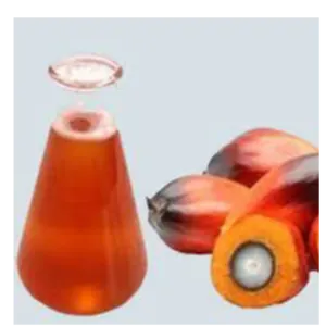 palm oil by Triple j