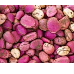 Kolanut by Triple j