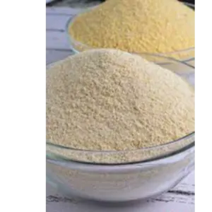 Garri by Triple j
