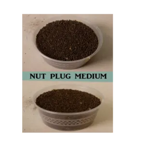 Nut Plug Medium