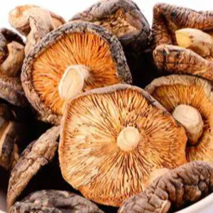 Mushroom spices by SAMAYO K2 FARMS