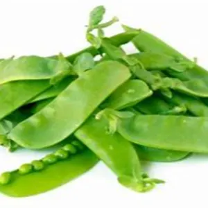 snow mangetout