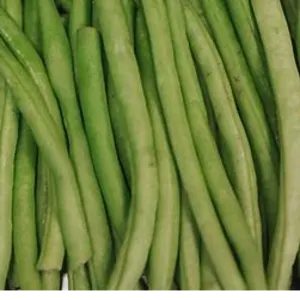fine beans by Athena crown limited