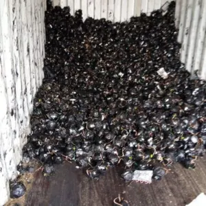 AC/Fridge Compressor Scrap Supplier with free shipping