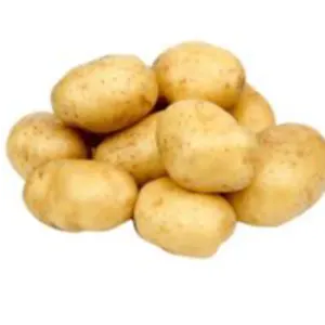POTATO HSN code 07019000 by VM EXIM INTERNATIONAL