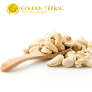 Cashew Nuts by PT Golden Terrac International
