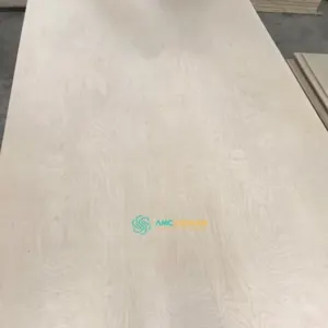 BIRCH PLYWOOD by AMC Vietnam Co. Ltd.