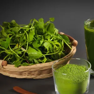 GOTU KOLA POWDER by viet delta