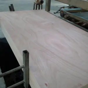 OKOUME PLYWOOD by AMC Vietnam Co. Ltd.