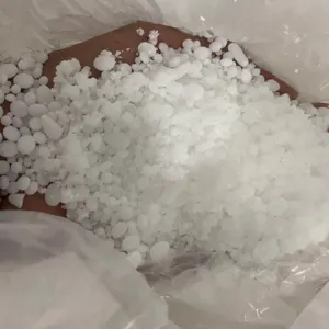 Eps grade beads (white) by Exotic Pooch