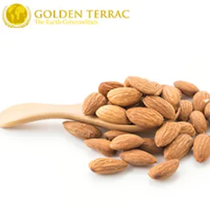 Almond by PT Golden Terrac International