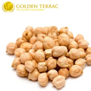 White Chickpeas by PT Golden Terrac International