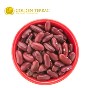 Red Kidney Beans by PT Golden Terrac International