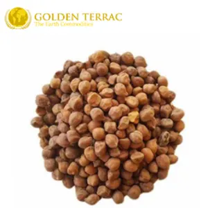 Brown Chickpeas by PT Golden Terrac International