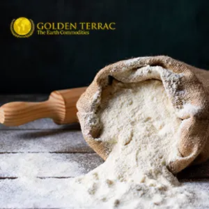 Wheat Flour by PT Golden Terrac International