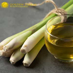Citronella Oil