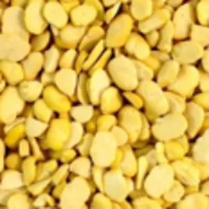 Dhal Ukraine / Australia by Metro Premium Group Sdn Bhd