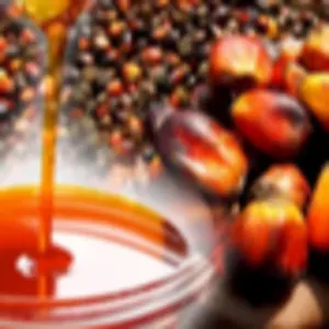 RBD Palm Oil (CP8,CP10) by Metro Premium Group Sdn Bhd