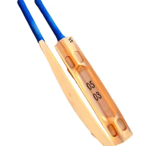 Kshmir willow cricket bat by Zala International