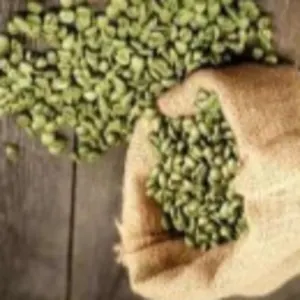Green Coffee Bean from Farm (20kg/Bag) by Asia Tinh son GmbH