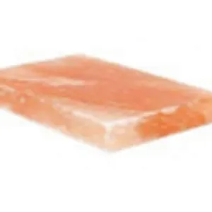 salt cooking tile by SALTON INDUSTRIES PVT LTD