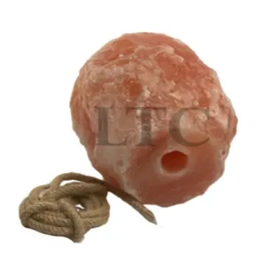 Animal Licking Salt by LAHORE TRADING COMPANY