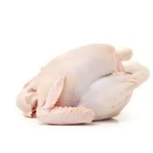 EXPORT GRADE HALAL FROZEN WHOLE CHICKENCHICKENFEET CHICKEN PAW - Image 2