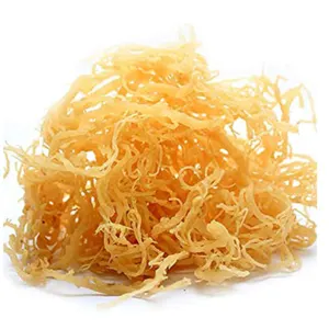 Vietnam 100% Oragnic Natural High Quality Gold Sea Moss/ Irish Moss / Wildcrafted Sun Dried Seamoss Cheap Price by Viet DELTA Industrial Co.,LTD