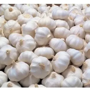 Fresh White Garlic by Agri Solutions Investment Pty Ltd