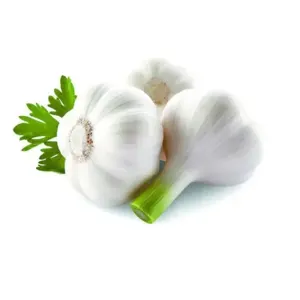 Fresh White Garlic - Image 3