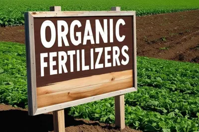 Fertilizer