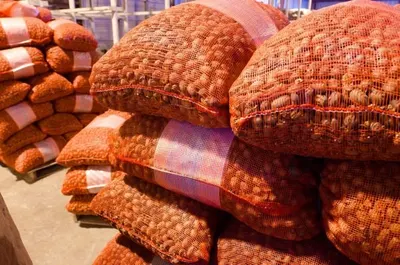 Red Plastic Onion Packing Net Bag